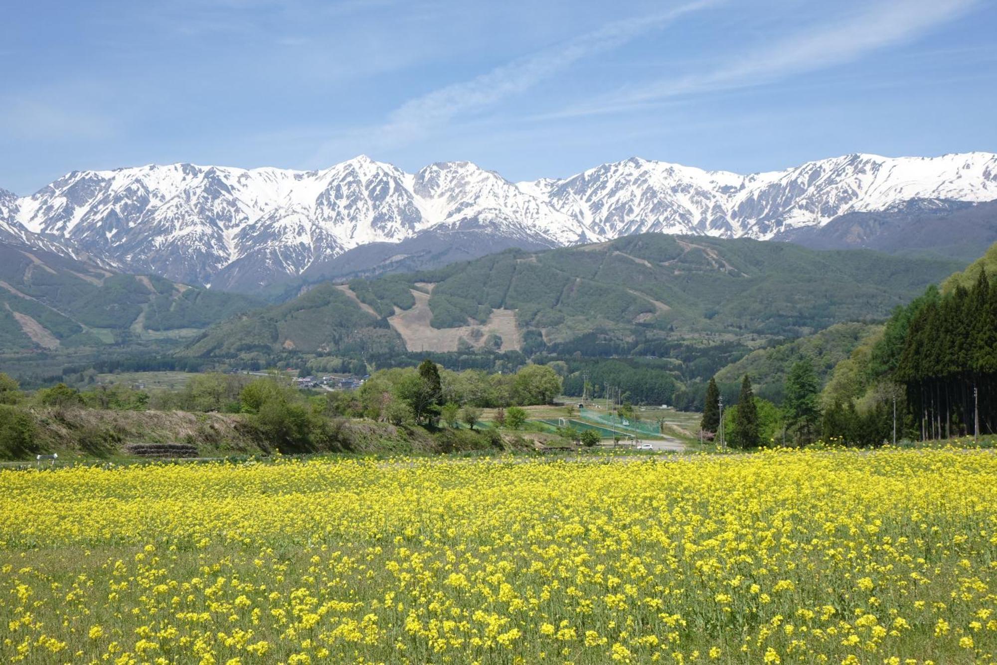 Country Inn Kashiwabara Hakuba Extérieur photo