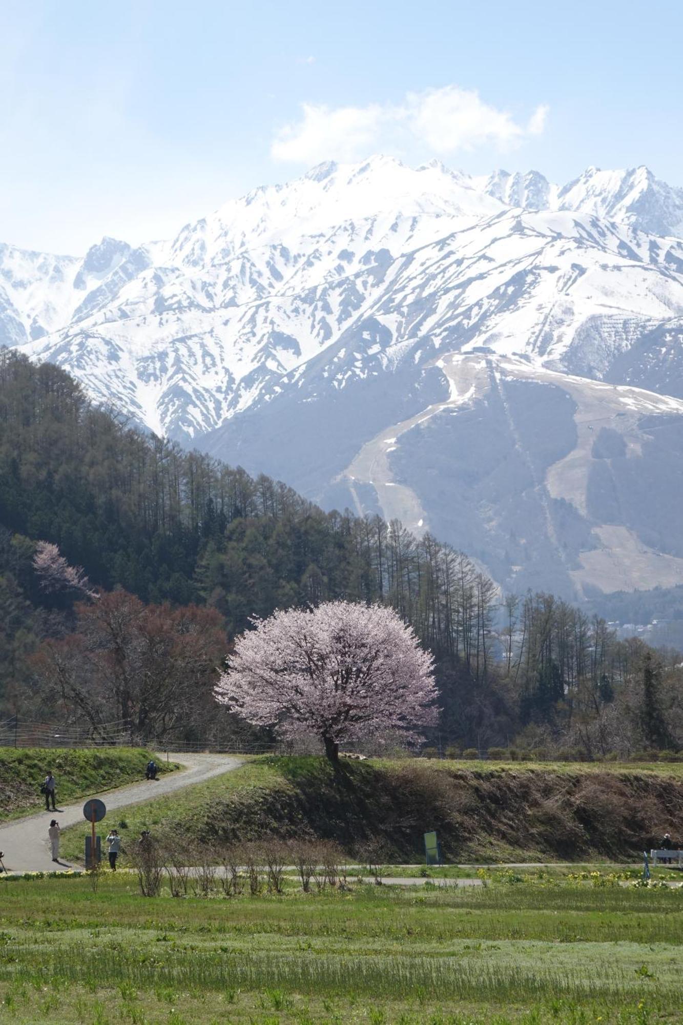 Country Inn Kashiwabara Hakuba Extérieur photo